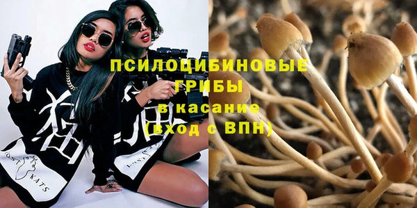 МДПВ Россошь